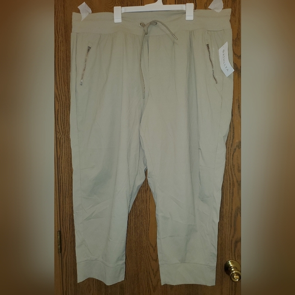 ATHLETA PLUS SIZE Trekkie North Jogger NWT Plus Size | Size: 26 UpF 40+ - Picture 6 of 16